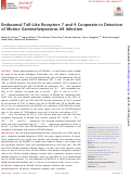 Cover page: Endosomal Toll-Like Receptors 7 and 9 Cooperate in Detection of Murine Gammaherpesvirus 68 Infection