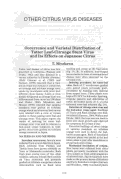 Cover page: Occurrence and Varietal Distribution of Tatter Leaf-Citrange Stunt Virus and Its Effects on Japanese Citrus