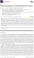 Cover page: Molecular Regulation of Nitrate Responses in Plants