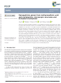 Cover page: Nanoparticles grown from methanesulfonic acid and methylamine: microscopic structures and formation mechanism.