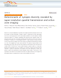 Cover page: Determinants of synapse diversity revealed by super-resolution quantal transmission and active zone imaging