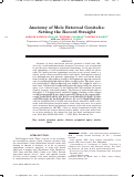 Cover page: Anatomy of mole external genitalia: Setting the record straight