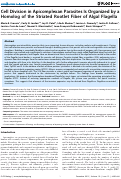 Cover page: Cell Division in Apicomplexan Parasites Is Organized by a Homolog of the Striated Rootlet Fiber of Algal Flagella