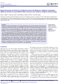 Cover page: Novel protective mechanism of reducing renal cell damage in diabetes: Activation AMPK by AICAR increased NRF2/OGG1 proteins and reduced oxidative DNA damage