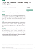 Cover page: Limbic and paralimbic structures driving ictal central apnea.