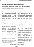 Cover page: Nuclear morphometry and molecular biomarkers of actinic keratosis, sun-damaged, and nonexposed skin.