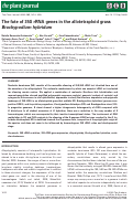 Cover page: The fate of 35S rRNA genes in the allotetraploid grass Brachypodium hybridum