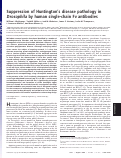 Cover page: Suppression of Huntington's disease pathology in Drosophila by human single-chain Fv antibodies