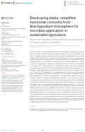 Cover page: Developing stable, simplified, functional consortia from Brachypodium rhizosphere for microbial application in sustainable agriculture