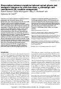 Cover page: Dissociation between morphine-induced spinal gliosis and analgesic tolerance by ultra-low-dose &amp;agr;2-adrenergic and cannabinoid CB1-receptor antagonists