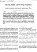 Cover page: Mutational analysis of the promoter recognized by Chlamydia and Escherichia coli sigma 28 RNA polymerase