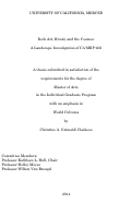 Cover page: Rock Art, Ritual, and the Cosmos: A Landscape Investigation of CA-MRP-402