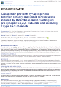 Cover page: Gabapentin prevents synaptogenesis between sensory and spinal cord neurons induced by thrombospondin‐4 acting on pre‐synaptic Cavα2δ1 subunits and involving T‐type Ca2+ channels