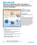 Cover page: Molecular organization of the early stages of nucleosome phase separation visualized by cryo-electron tomography