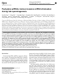 Cover page: Pachytene piRNAs instruct massive mRNA elimination during late spermiogenesis