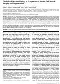 Cover page: The role of mechanobiology in progression of rotator cuff muscle atrophy and degeneration