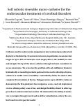 Cover page: Soft robotic steerable microcatheter for the endovascular treatment of cerebral disorders