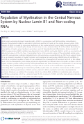 Cover page: Regulation of Myelination in the Central Nervous System by Nuclear Lamin B1 and Non-coding RNAs