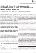 Cover page: Cysteine S-linked N-acetylglucosamine (S-GlcNAcylation), A New Post-translational Modification in Mammals*