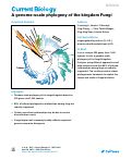 Cover page: Toward a Fully Resolved Fungal Tree of Life