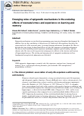 Cover page: Emerging roles of epigenetic mechanisms in the enduring effects of early-life stress and experience on learning and memory