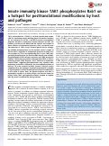 Cover page: Innate immunity kinase TAK1 phosphorylates Rab1 on a hotspot for posttranslational modifications by host and pathogen