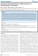 Cover page: Functional Overlap between eIF4G Isoforms in Saccharomyces cerevisiae