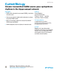 Cover page: Volume-transmitted GABA waves pace epileptiform rhythms in the hippocampal network.