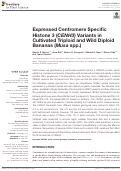 Cover page: Expressed Centromere Specific Histone 3 (CENH3) Variants in Cultivated Triploid and Wild Diploid Bananas (Musa spp.)