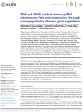 Cover page: Maf and Mafb control mouse pallial interneuron fate and maturation through neuropsychiatric disease gene regulation