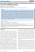 Cover page: How Metal Substitution Affects the Enzymatic Activity of Catechol-O-Methyltransferase