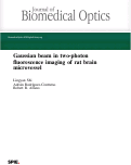 Cover page: Gaussian beam in two-photon fluorescence imaging of rat brain microvessel