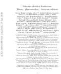 Cover page: Dynamics of critical fluctuations: Theory – phenomenology – heavy-ion collisions