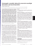 Cover page: Postsynaptic assembly induced by neurexin-neuroligin interaction and neurotransmitter