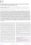 Cover page: Synergistic Effects of Clostridium perfringens Enterotoxin and Beta Toxin in Rabbit Small Intestinal Loops