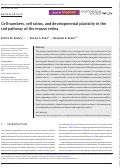 Cover page: Cell numbers, cell ratios, and developmental plasticity in the rod pathway of the mouse retina