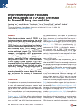 Cover page: Arginine Methylation Facilitates the Recruitment of TOP3B to Chromatin to Prevent R Loop Accumulation