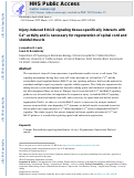 Cover page: Injury-induced Erk1/2 signaling tissue-specifically interacts with Ca2+ activity and is necessary for regeneration of spinal cord and skeletal muscle