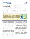 Cover page: Prediction of Two-Dimensional Phase of Boron with Anisotropic Electric Conductivity