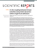 Cover page: In-situ coupling between kinase activities and protein dynamics within single focal adhesions