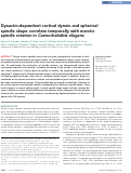 Cover page: Dynactin-dependent cortical dynein and spherical spindle shape correlate temporally with meiotic spindle rotation in Caenorhabditis elegans