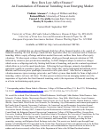 Cover page: How Does Law Affect Finance? An Examination of Financial Tunneling in an Emerging Market