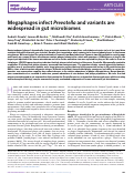 Cover page: Megaphages infect Prevotella and variants are widespread in gut microbiomes