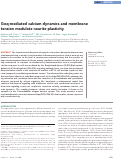 Cover page: Gαq-mediated calcium dynamics and membrane tension modulate neurite plasticity