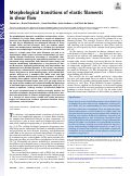 Cover page: Morphological transitions of elastic filaments in shear flow