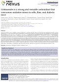 Cover page: Cobinamide is a strong and versatile antioxidant that overcomes oxidative stress in cells, flies, and diabetic mice