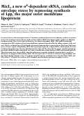 Cover page: MicL, a new σE-dependent sRNA, combats envelope stress by repressing synthesis of Lpp, the major outer membrane lipoprotein