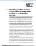 Cover page: Monitoring protease activity in biological tissues using antibody prodrugs as sensing probes