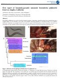 Cover page: First report of Tarantula-parasitic nematode Tarantobelus jeffdanielsi from Los Angeles, California.