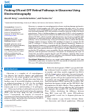 Cover page: Probing ON and OFF Retinal Pathways in Glaucoma Using Electroretinography